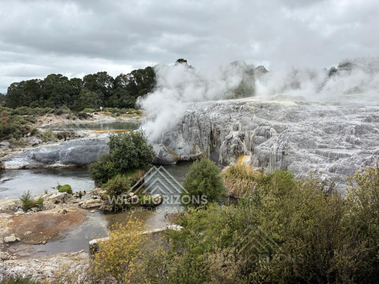 Steam and Stone. Geothermal Terraces at Te Puia, Rotorua