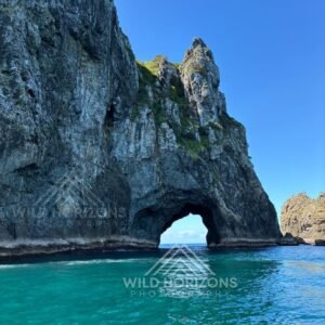 Through the Hole in the Rock. Bay of Islands, New Zealand