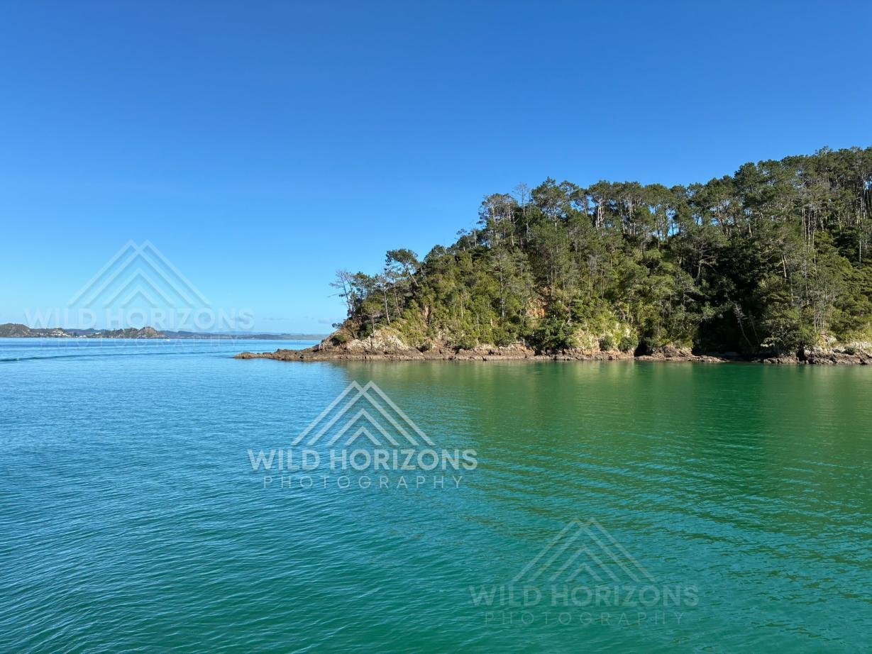 Still Waters Beside a Forested Headland. Bay of Islands, New Zealand