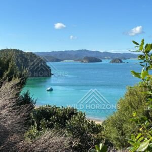 Island-Dotted Waters of the Bay of Islands. Bay of Islands, New Zealand