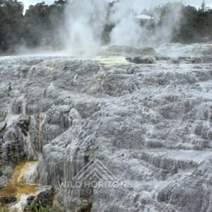 Steaming Silica Terraces at Te Puia. Rotorua, New Zealand