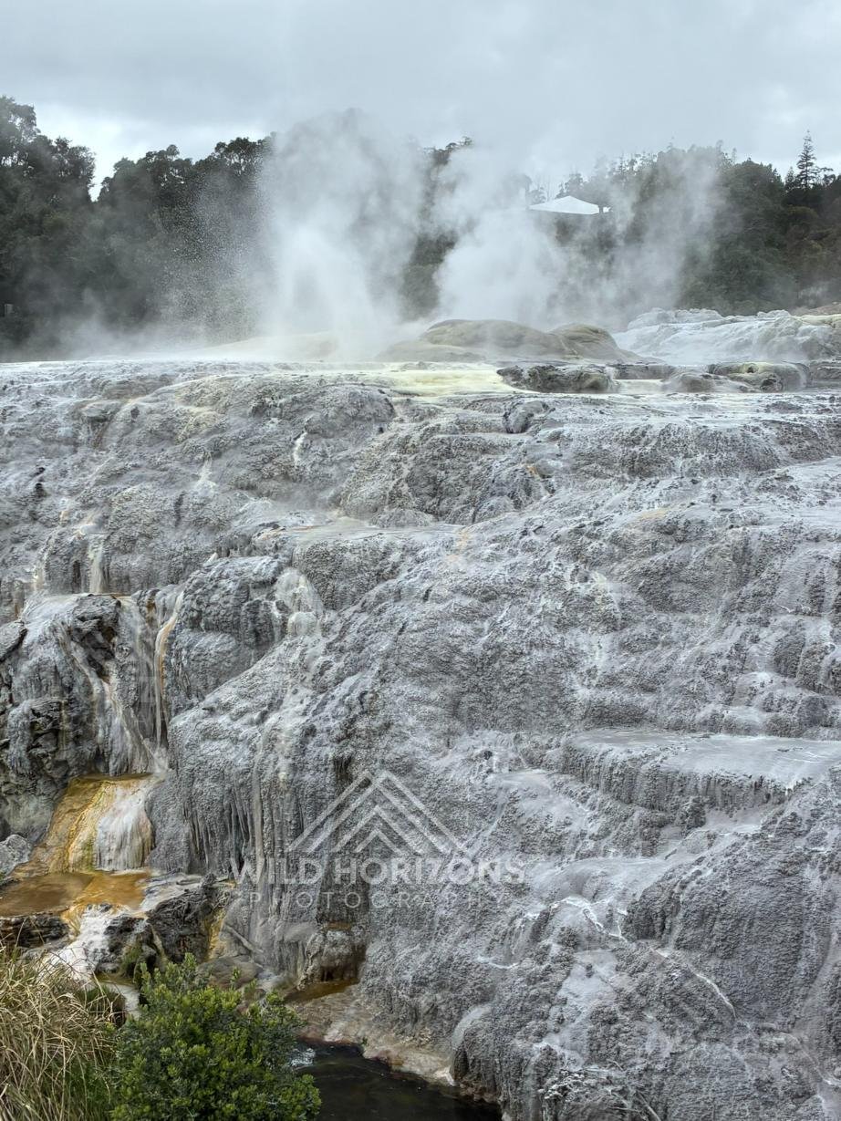 Steaming Silica Terraces at Te Puia. Rotorua, New Zealand