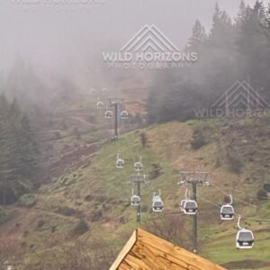 Gondola Cabins Rising Through the Mist. Rotorua, New Zealand