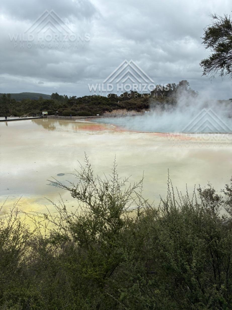 Steam Rising Over a Mineral-Stained Lake. Wai-O-Tapu, Rotorua, New Zealand