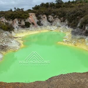 Vivid Geothermal Crater Pool in Luminous Green. Wai-O-Tapu, Rotorua, New Zealand
