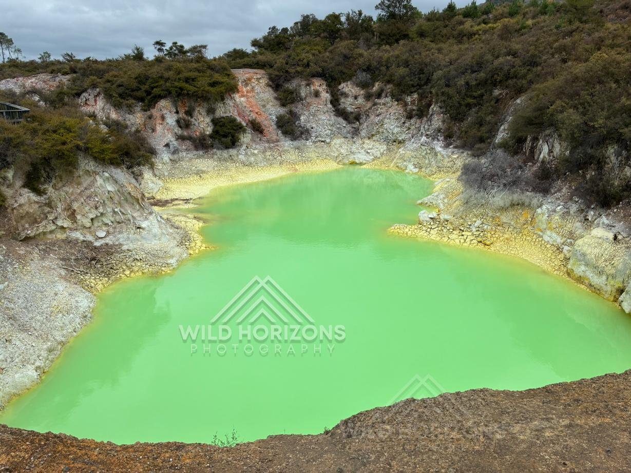 Vivid Geothermal Crater Pool in Luminous Green. Wai-O-Tapu, Rotorua, New Zealand
