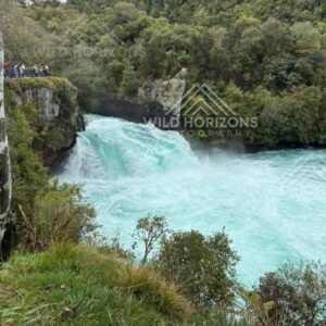 Turquoise Torrent Pouring Through a Narrow Gorge. Huka Falls, Taupō Region, New Zealand