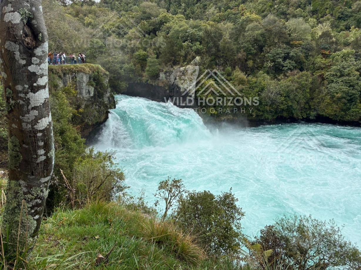 Turquoise Torrent Pouring Through a Narrow Gorge. Huka Falls, Taupō Region, New Zealand