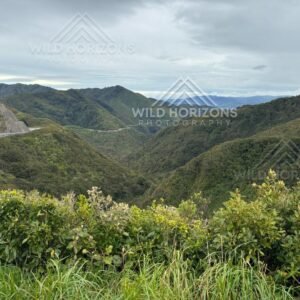 Winding ridgelines of the Gentle Annie. Kaweka Ranges, New Zealand.