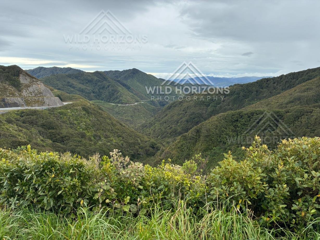 Winding ridgelines of the Gentle Annie. Kaweka Ranges, New Zealand.