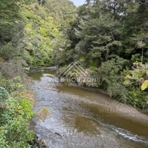 Side River in Native Forest. Kaitoke Regional Park, New Zealand.