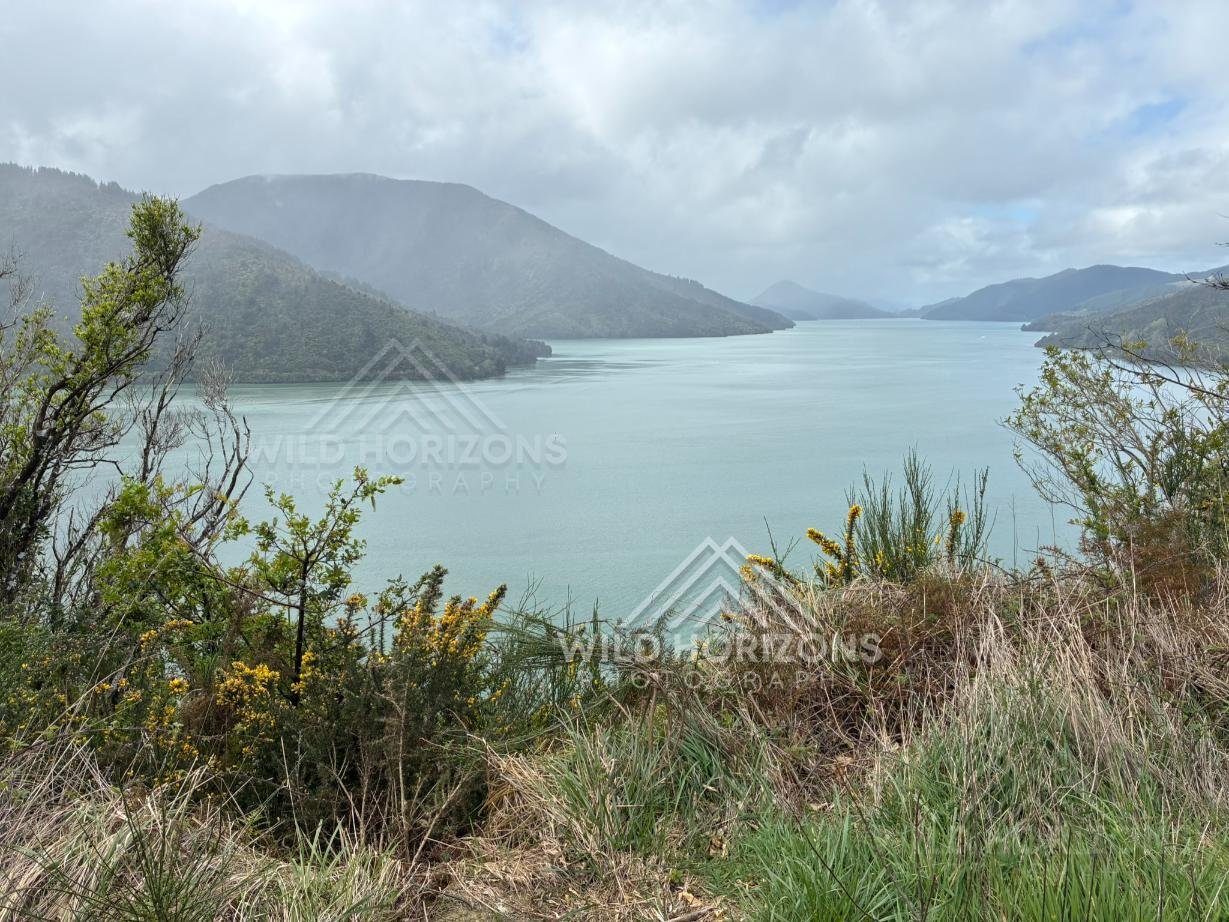 Queen Charlotte Sound (Tōtaranui), Marlborough Sounds, New Zealand