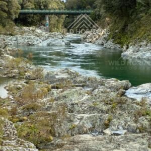 Buller River Gorge Bridge. Murchison, New Zealand