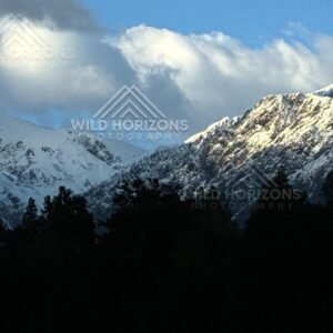 Early Morning Light on the Southern Alps, Franz Josef, New Zealand