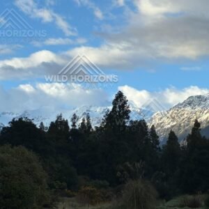 Morning Snow Peaks Above Franz Josef, New Zealand