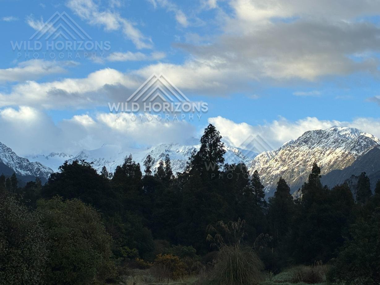 Morning Snow Peaks Above Franz Josef, New Zealand