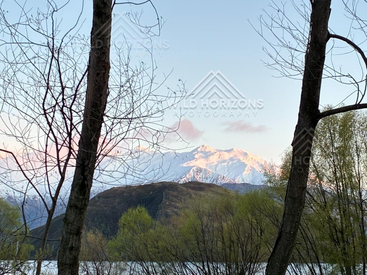 Framed Alpenglow over the Southern Alps from Glendhu Bay, Lake Wānaka, New Zealand.