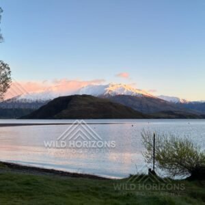 Alpenglow Across Lake Wānaka from Glendhu Bay, New Zealand.