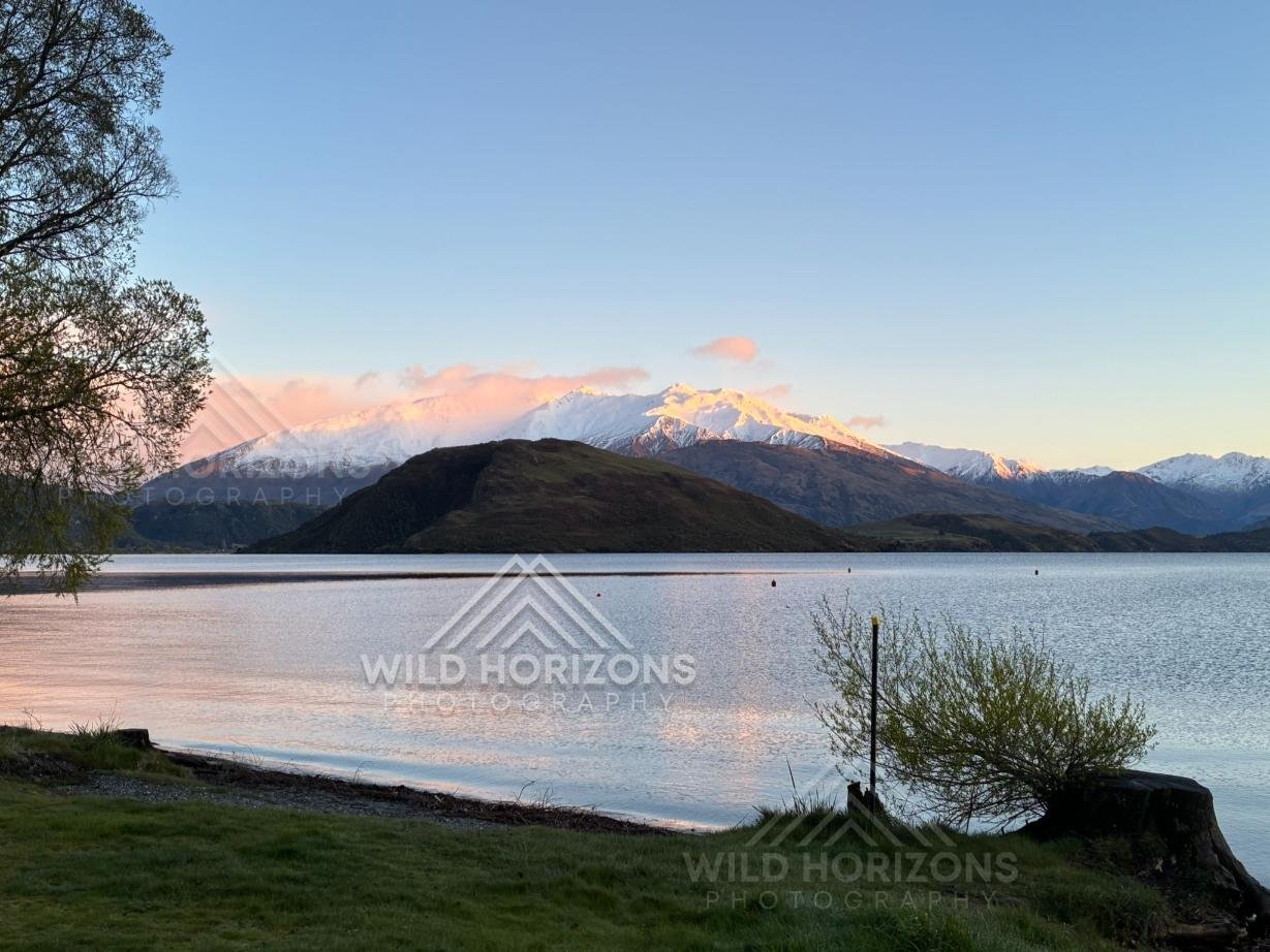 Alpenglow Across Lake Wānaka from Glendhu Bay, New Zealand.