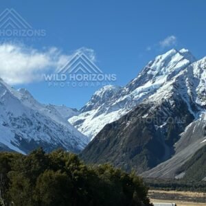 Towering snow-covered alpine peaks above forested valley floor. Aoraki / Mount Cook National Park, New Zealand