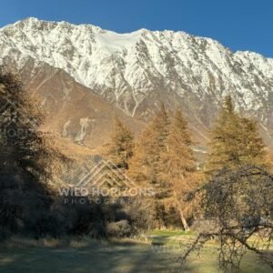 Autumn trees set against a snow-covered alpine mountain wall. Glentanner, New Zealand