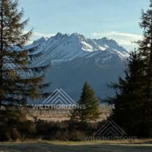 Snow-covered alpine peaks framed by tall valley trees. Glentanner, New Zealand