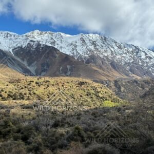Snow-Capped Southern Alps Above Dry High-Country Hills, New Zealand