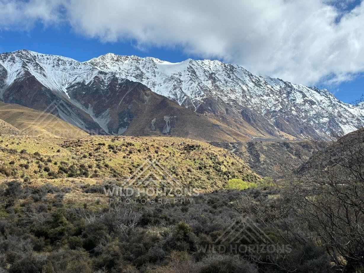 Snow-Capped Southern Alps Above Dry High-Country Hills, New Zealand