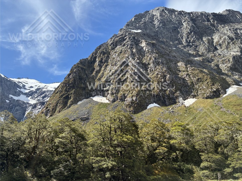 Mountain Peaks Above Native Forest on Milford Road New Zealand
