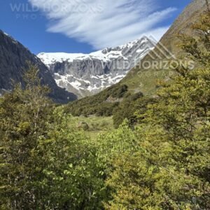 Glacial Valley and Forest Along Milford Road New Zealand
