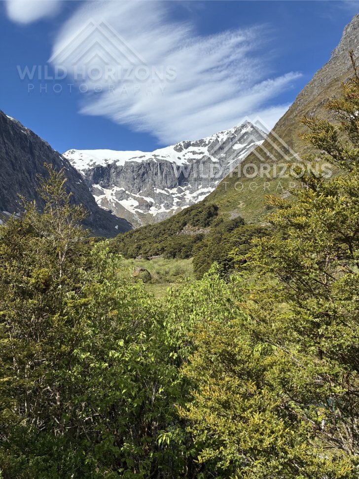 Glacial Valley and Forest Along Milford Road New Zealand