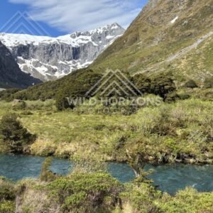 Mountain Stream and Valley Floor Along Milford Road New Zealand