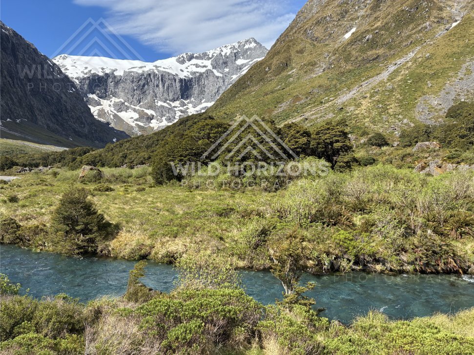 Mountain Stream and Valley Floor Along Milford Road New Zealand
