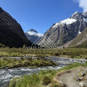 Alpine Stream and Walking Track Through Fiordland Valley, Milford Road, New Zealand