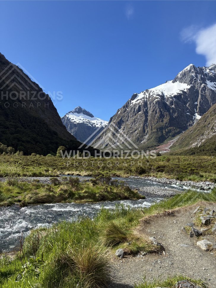 Alpine Stream and Walking Track Through Fiordland Valley, Milford Road, New Zealand