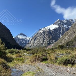 Fiordland Valley Wetlands and Mountain Walls, Milford Road, New Zealand