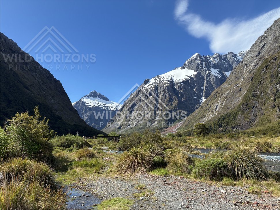 Fiordland Valley Wetlands and Mountain Walls, Milford Road, New Zealand