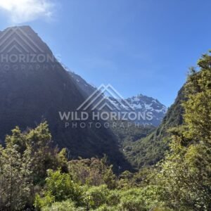 Sunlit Fiordland Gorge View Toward Snowy Peaks, Milford Road, New Zealand