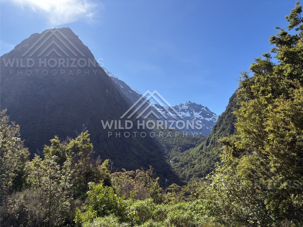 Sunlit Fiordland Gorge View Toward Snowy Peaks, Milford Road, New Zealand