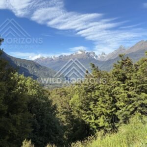 Mountain Range Above Fiordland Forest Under High Clouds, Milford Road, New Zealand
