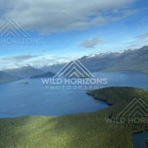 Seaplane View Over Fiordland Lake and Forested Islands, Fiordland, New Zealand