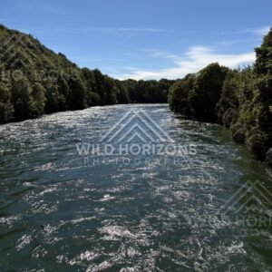 Forested River Near Manapouri New Zealand