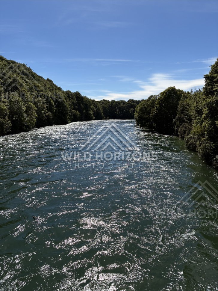 Forested River Near Manapouri New Zealand