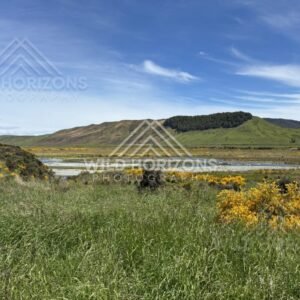 Wetlands and Open Country at Mavora Lakes New Zealand