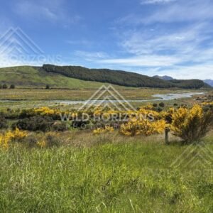 Open Plains and Wetlands at Mavora Lakes New Zealand