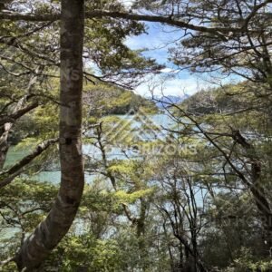 Forest Framing Lake Water at Mavora Lakes New Zealand