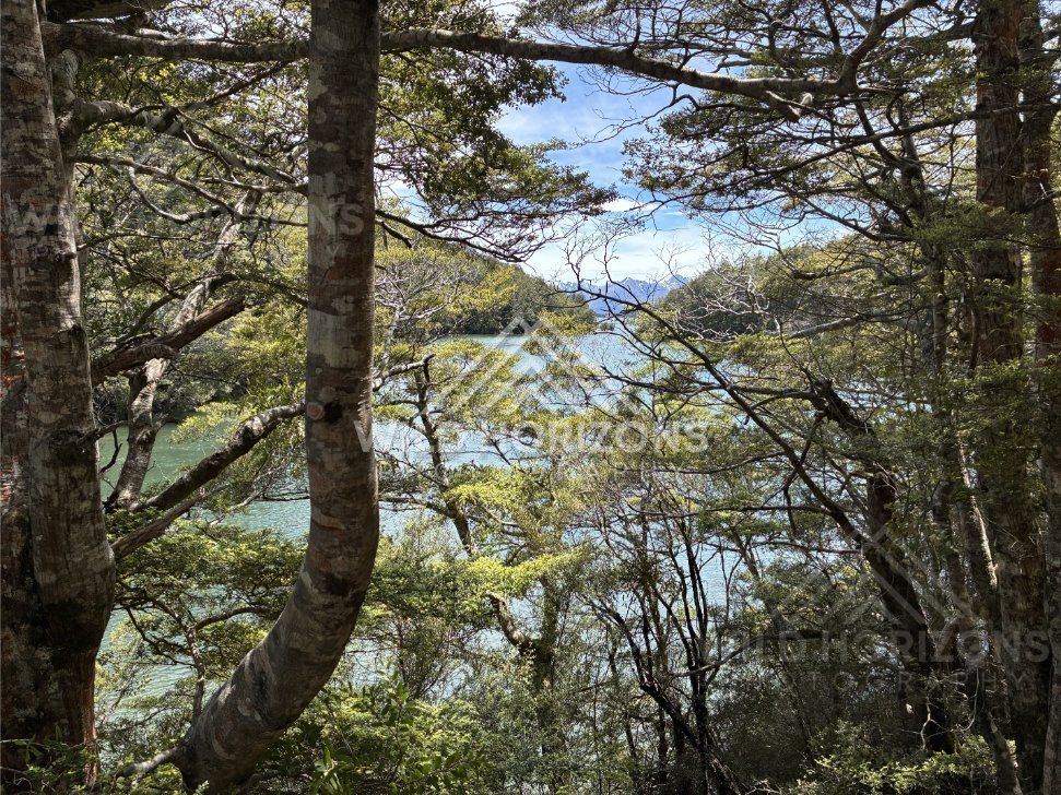 Forest Framing Lake Water at Mavora Lakes New Zealand