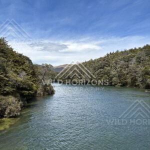 River Through Forest Valley at Mavora Lakes New Zealand