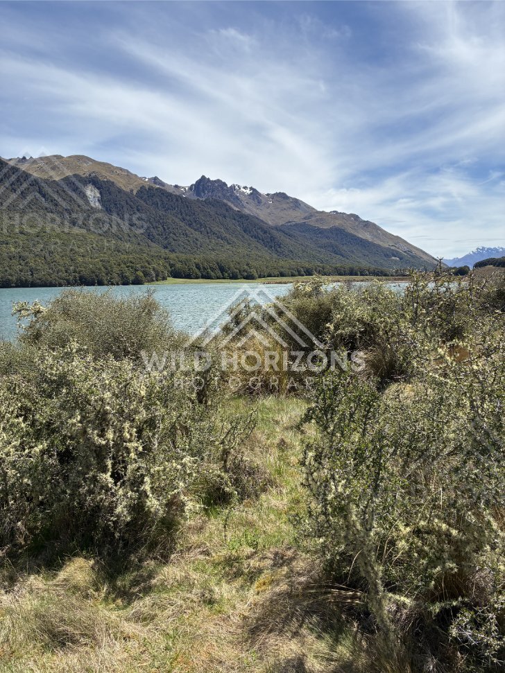 Shrubland Foreground on Mavora Lakes Shore New Zealand