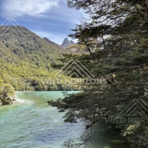 River and Forested Slopes Near Mavora Lakes New Zealand